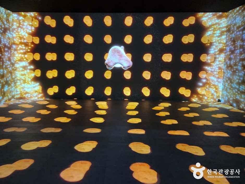 강원_양양_오산리 선사유적박물관_내부_1.jpg