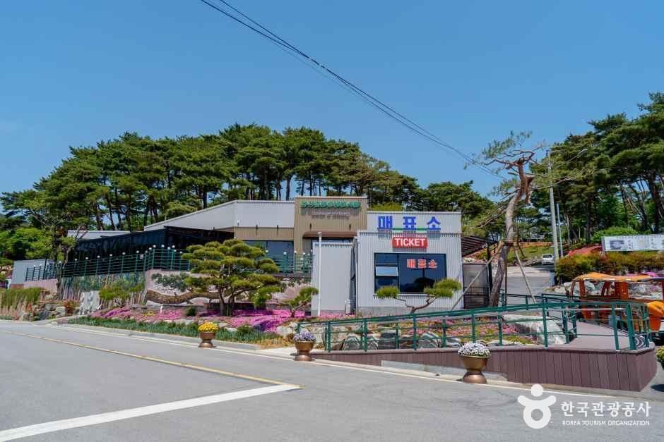 홍성솔바람테마파크