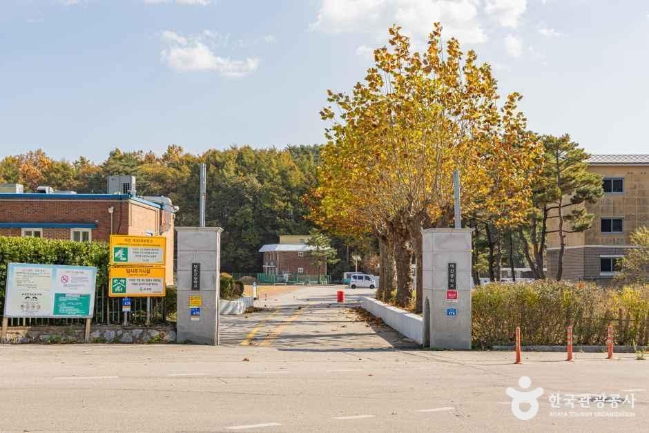 [강원평화누리자전거길 20코스] 화진포 석호둘레길