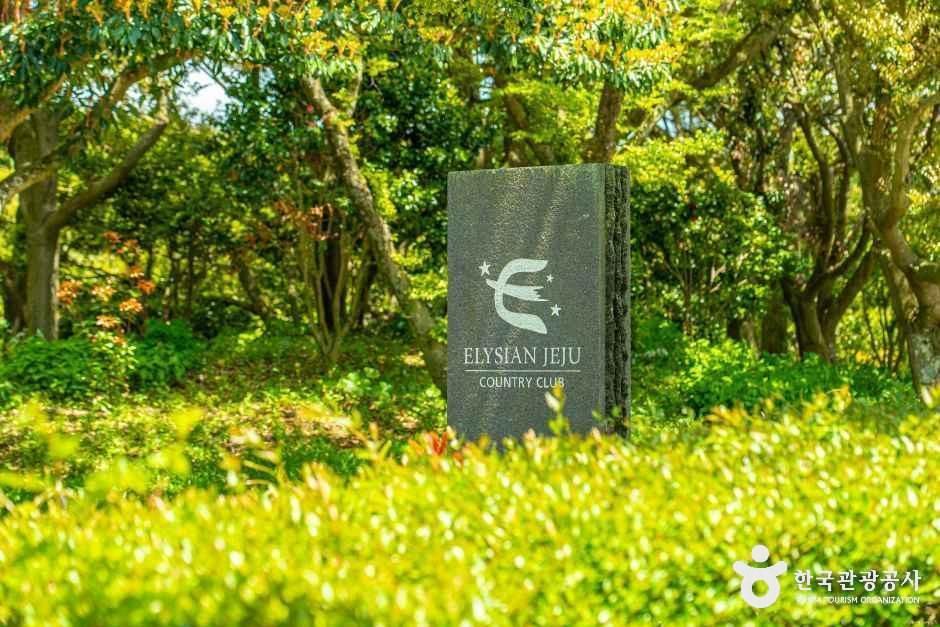 엘리시안 제주 컨트리클럽