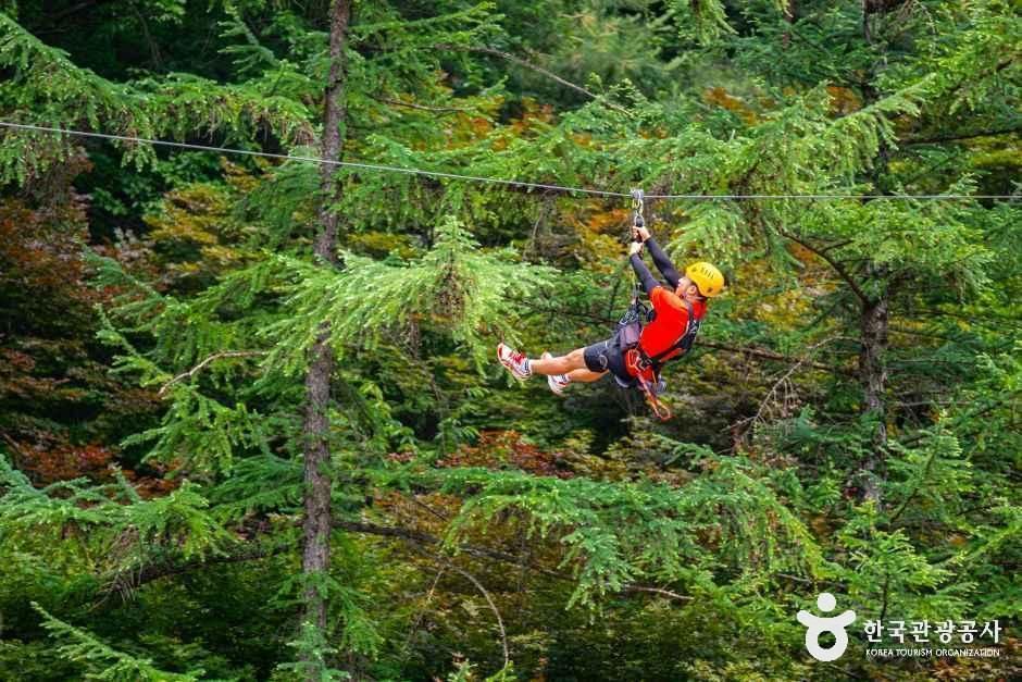 좌구산 자연휴양림