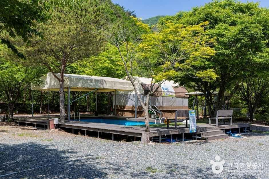 월악힐링캠핑장 - 충청북도 제천시 덕산면 월악산로 767 관광 명소