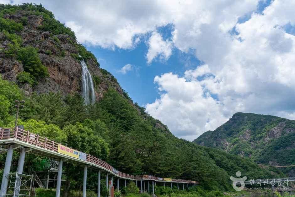 월영산 출렁다리