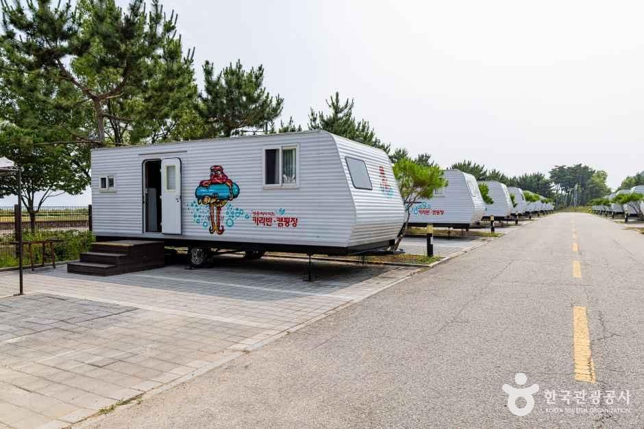 영종씨사이드카라반