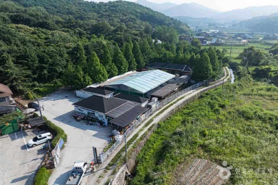 강화도산들애캠핑수영장