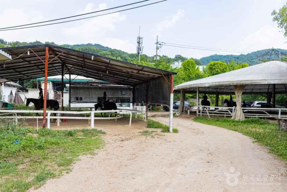 仁川乗馬公園
