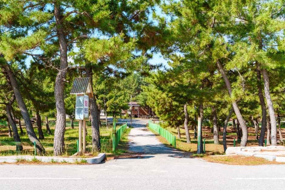[해파랑길] 41코스