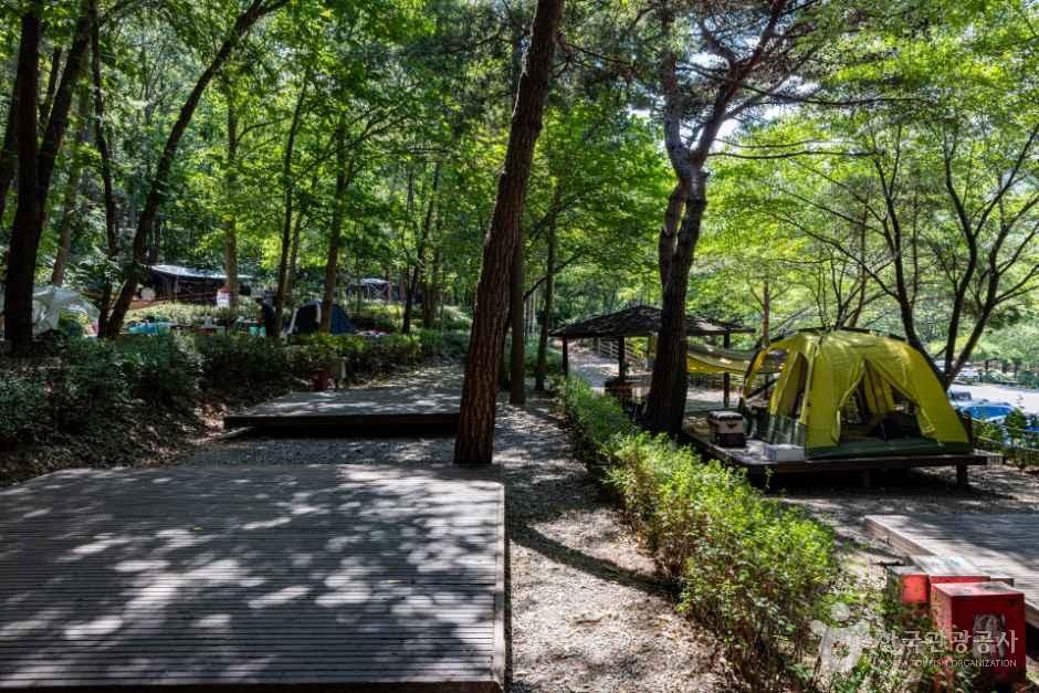 용현자연휴양림야영장 사진 6