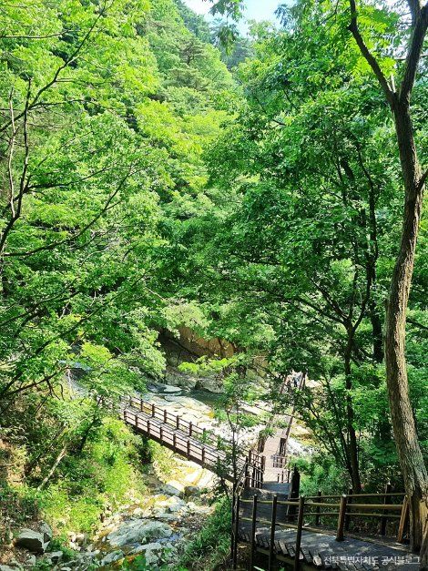 [지리산둘레길] 주천-운봉
