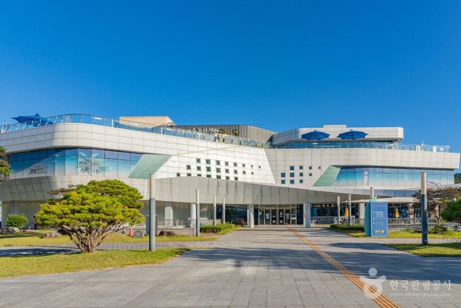 율포해수녹차센터