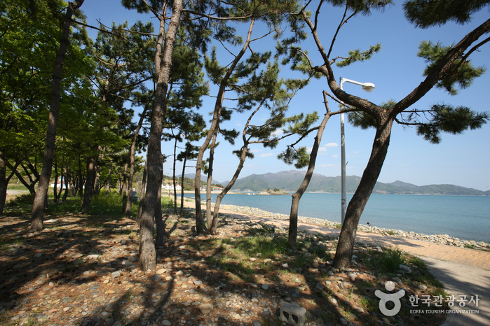 두곡, 월포해수욕장 두곡, 월포해수욕장