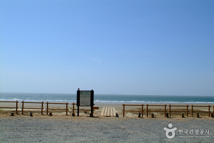 기지포해수욕장 기지포해수욕장