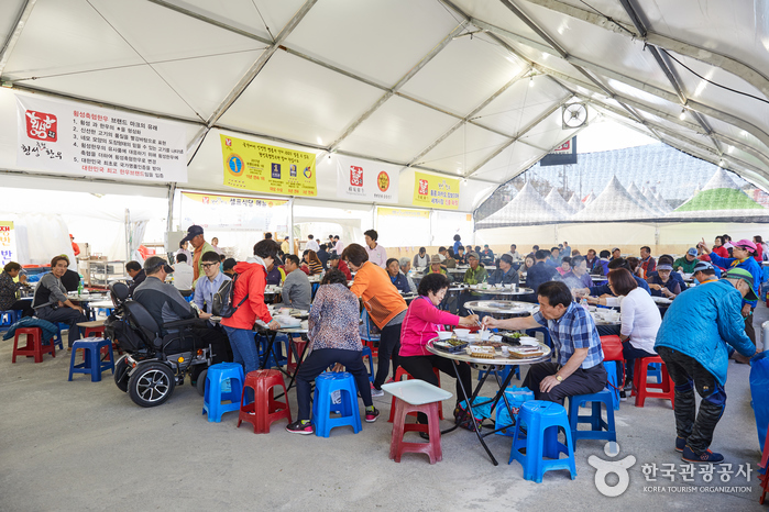 2022원주 홍천 횡성 가을축제 댄싱카니발/염강나오라쇼/연수골 가을꽃축제/횡성한우축제/인삼한우 명품축제 볼거리행사 강원도 여행초대가수