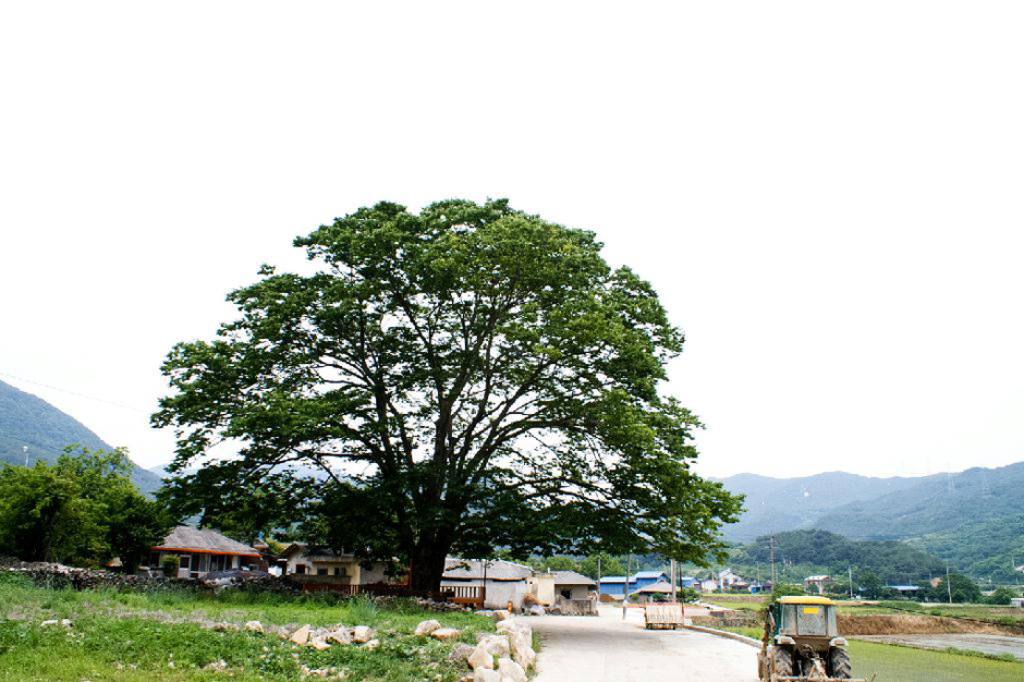 Unri Village