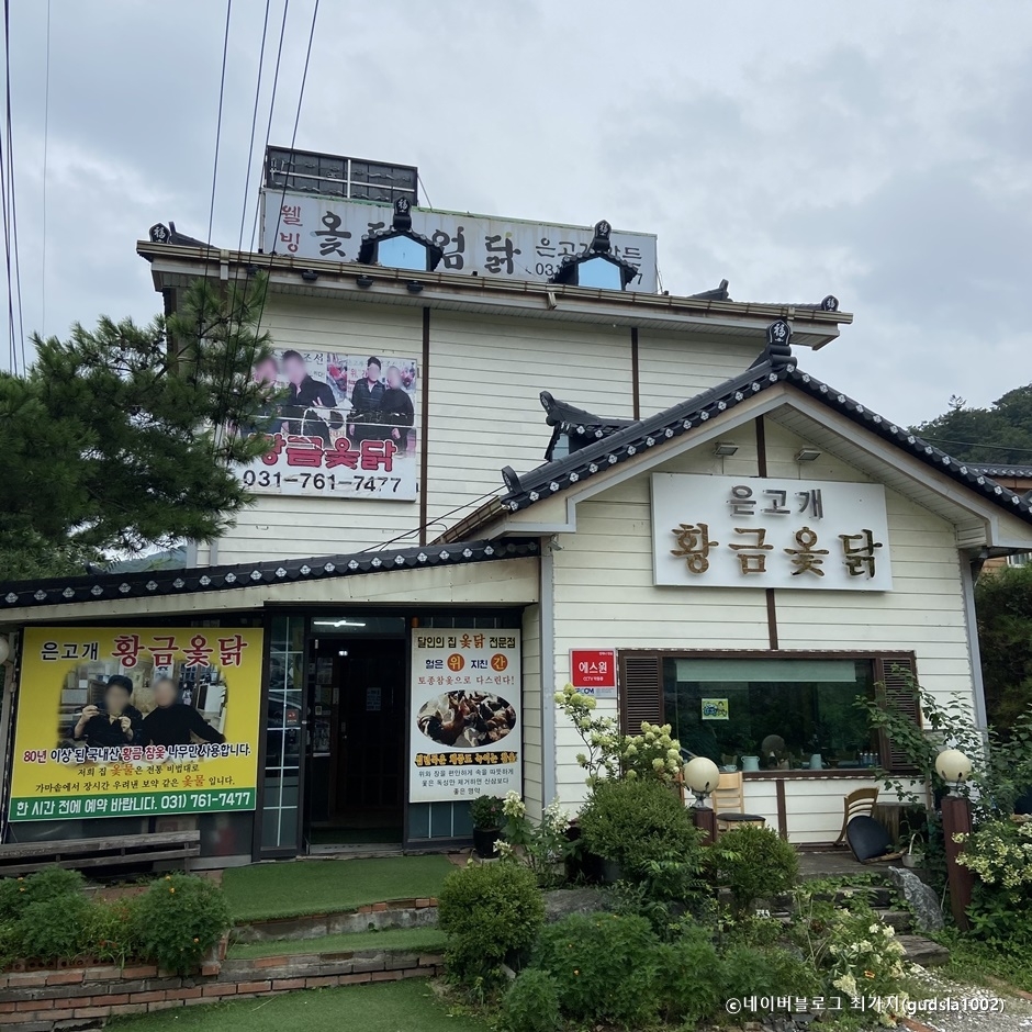 銀峴黄金ウルシ鶏