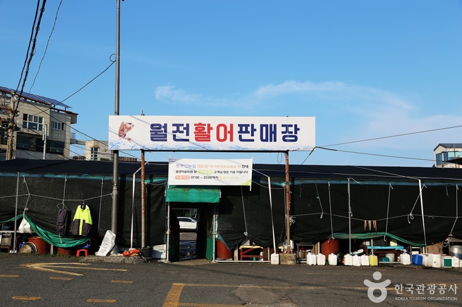 Woljeon Live Fish Market