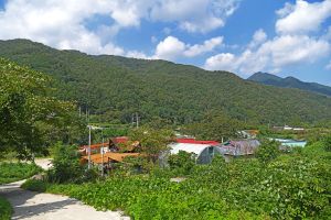 진부리 마을관리휴양지