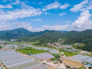 영암산(성주) 사진 3