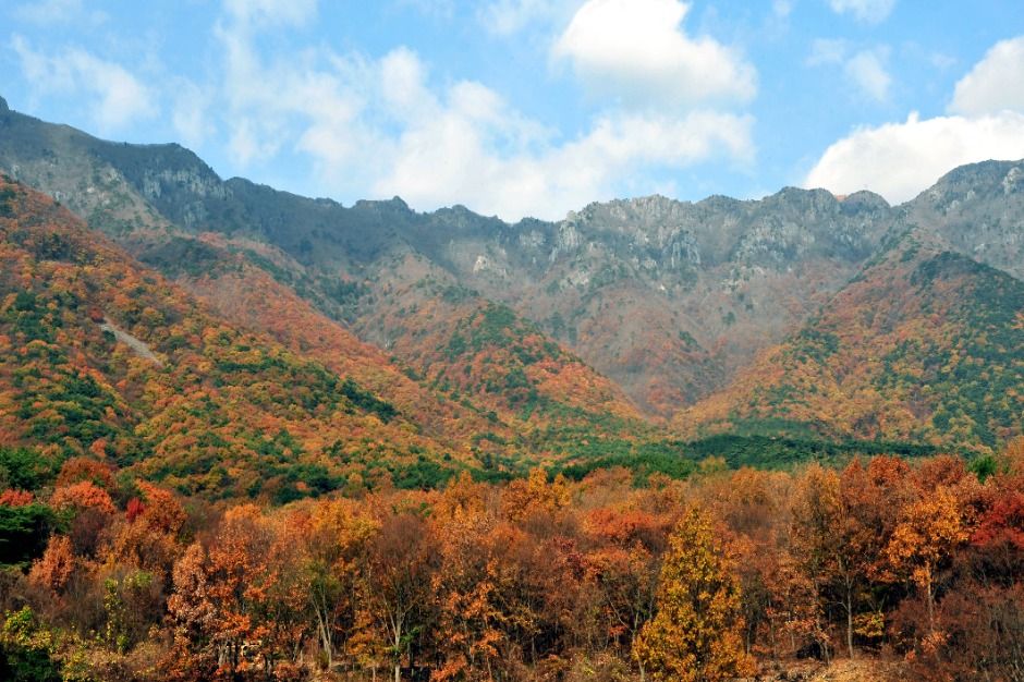 영축산