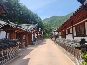 삼척활기자연휴양림