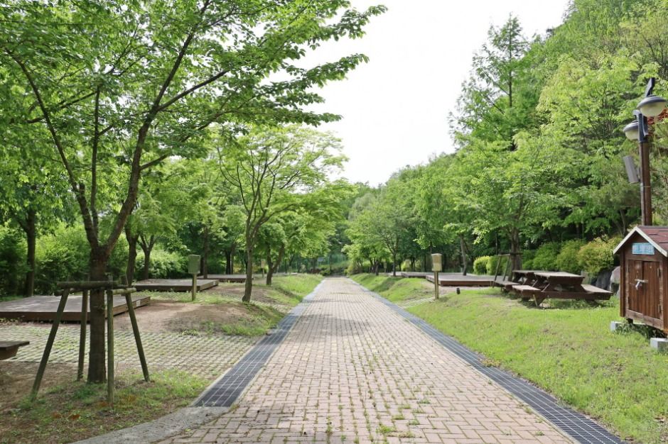 八公山国立公園 ドハク キャンプ場