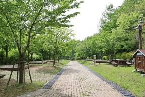 팔공산국립공원 도학야영장