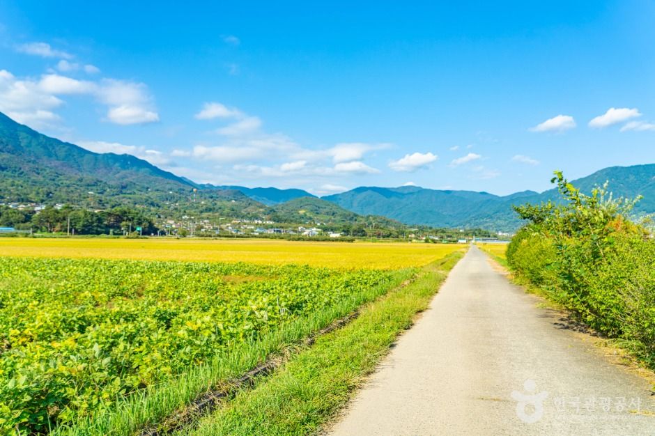 坪沙里平原