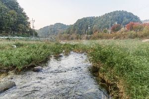 가평_조종천계곡 (3) 미리보기