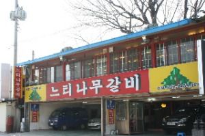 이동느티나무갈비