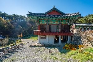적천사(청도) 사진 6