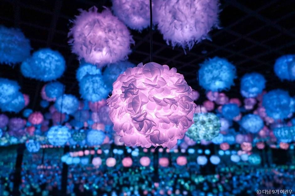 파주 데이트 코스_뮤지엄헤이_1-7