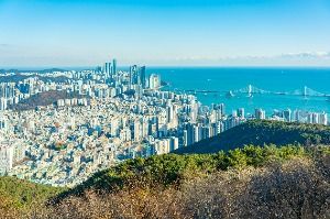 부산_금련산 (1)