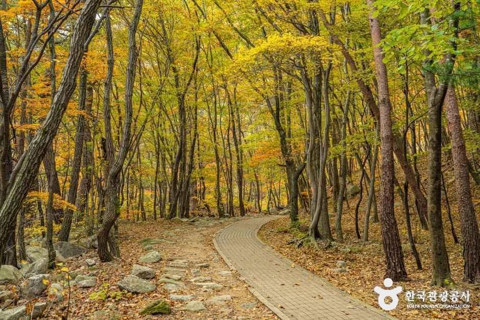 양양_설악산 오색주전골 (5).jpg