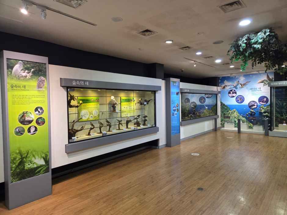 고성_고성자연사박물관 (5).jpg