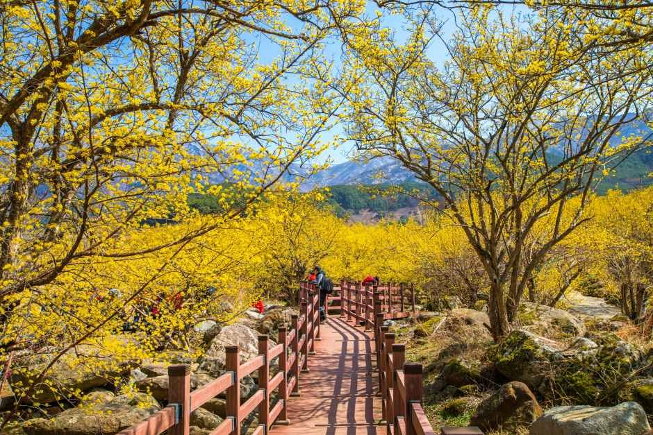 Gurye Sansuyu Village