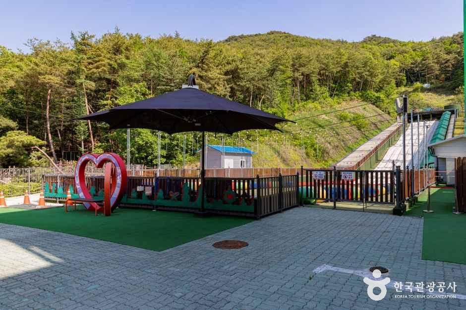 단양 사계절썰매장