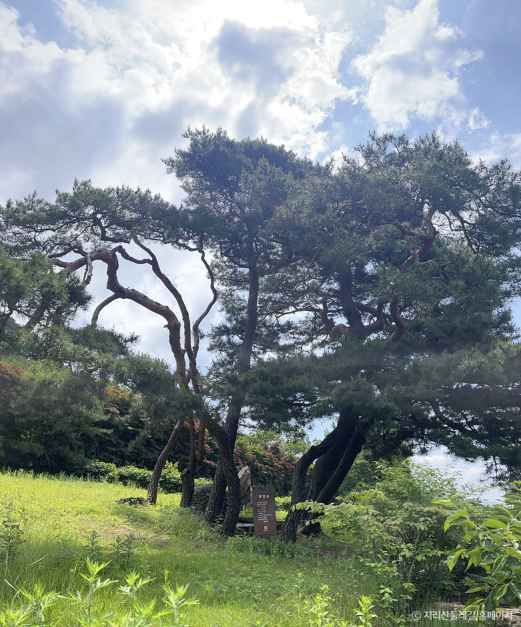 [지리산둘레길] 방광-산동