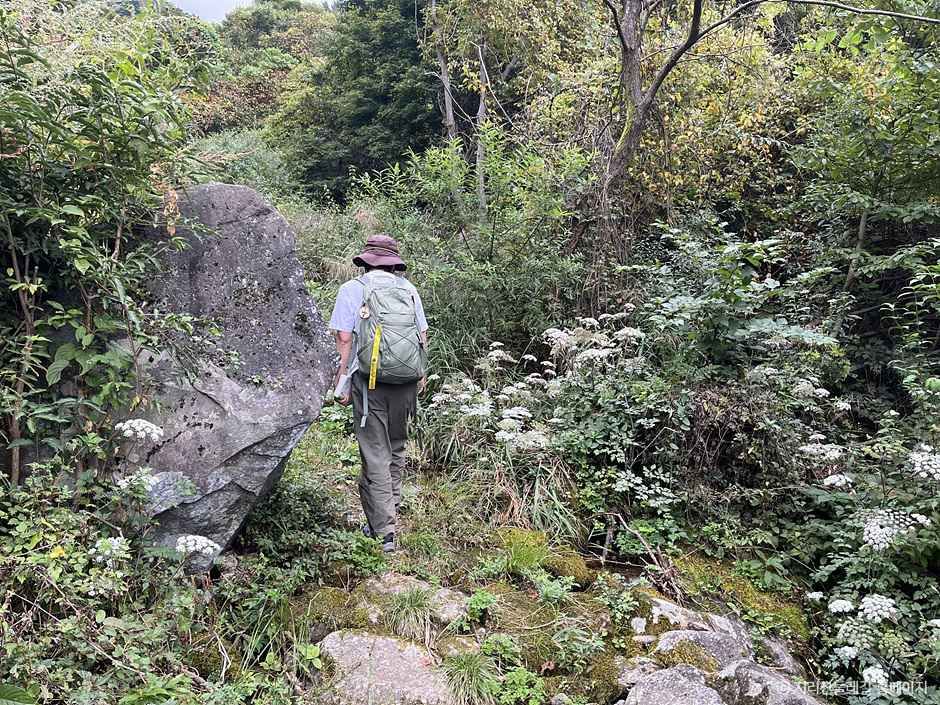 [지리산둘레길] 대축-원부춘