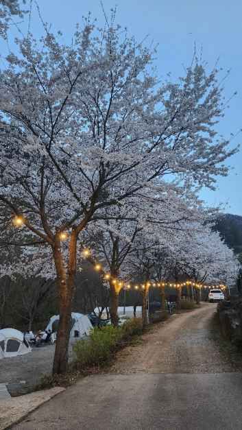 문경히든벨리오토캠핑장
