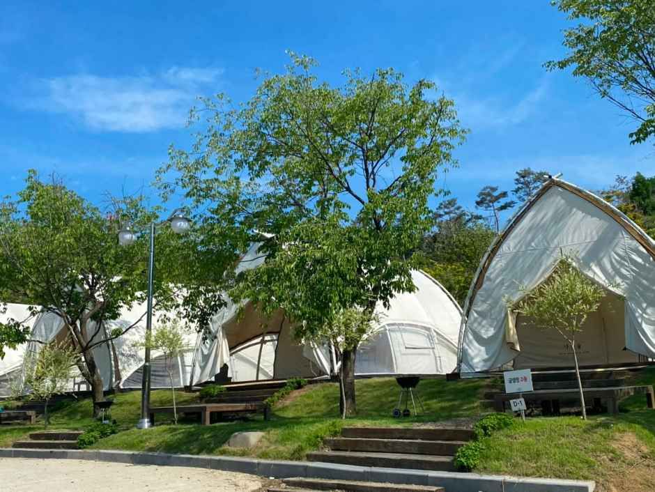 세종_다온숲 (9).jpg