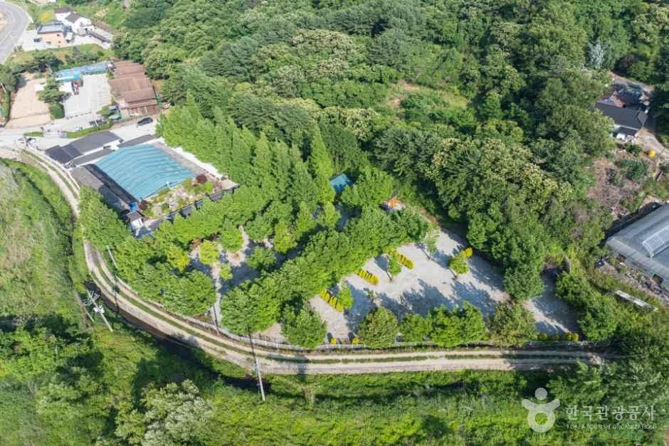 강화도산들애캠핑수영장