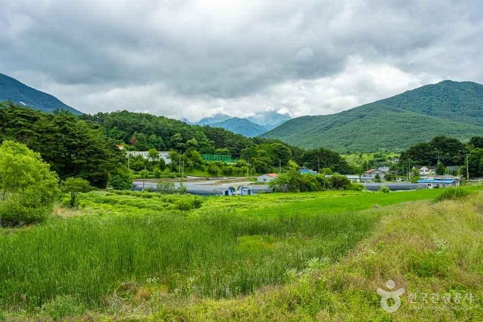 지리산 매동마을 - 전북특별자치도 남원시 산내면 매동길 16-4 관광 명소