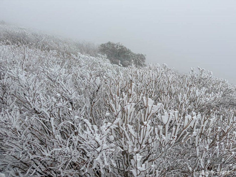 신불산군립공원