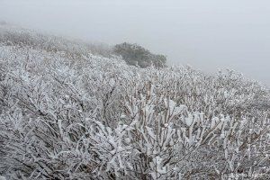 울주_신불산군립공원 (5).jpg