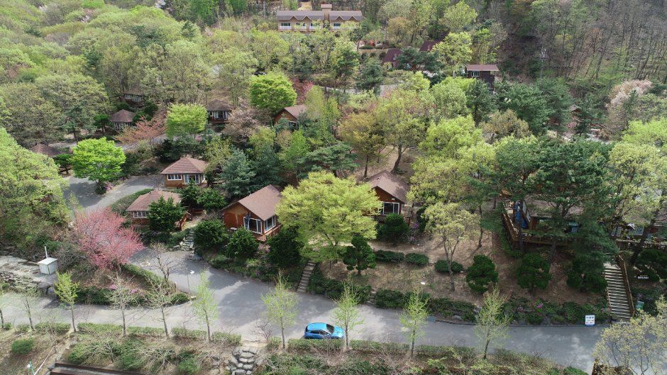 대운산자연휴양림
