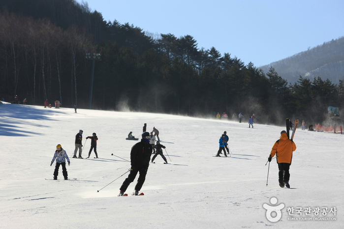 Daegwallyeong Special Tourist Zone (대관령 관광특구) | Official Korea Tourism ...