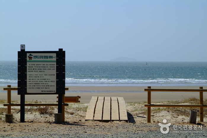 기지포해수욕장 기지포해수욕장