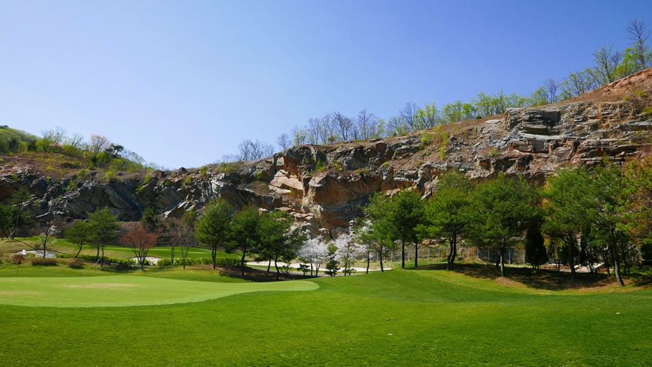 Tiger CC