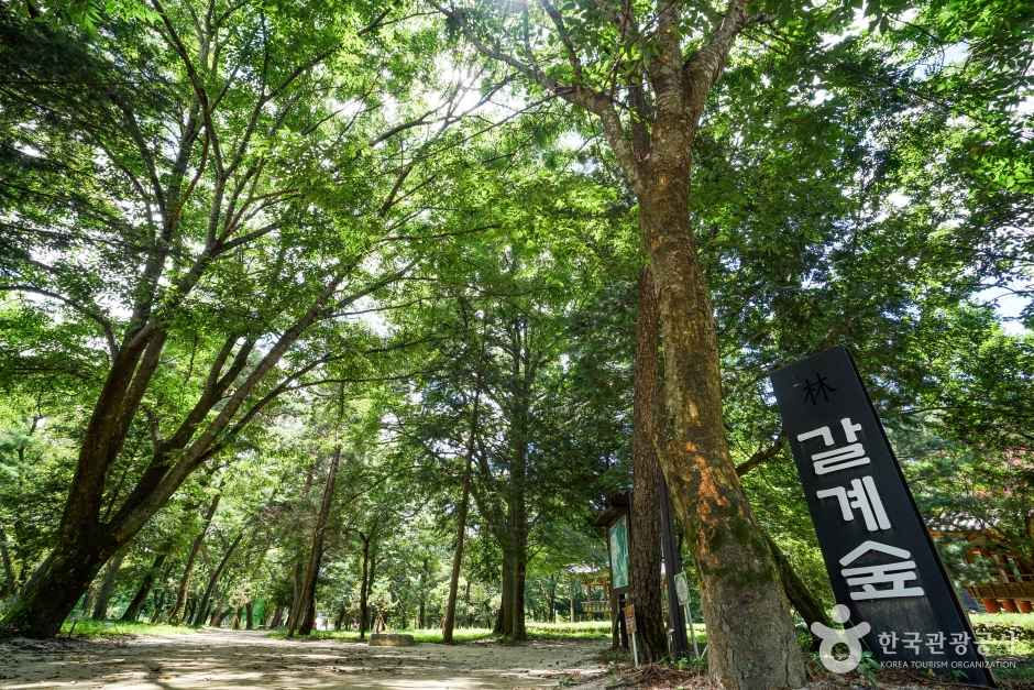 숲옛마을(갈계)