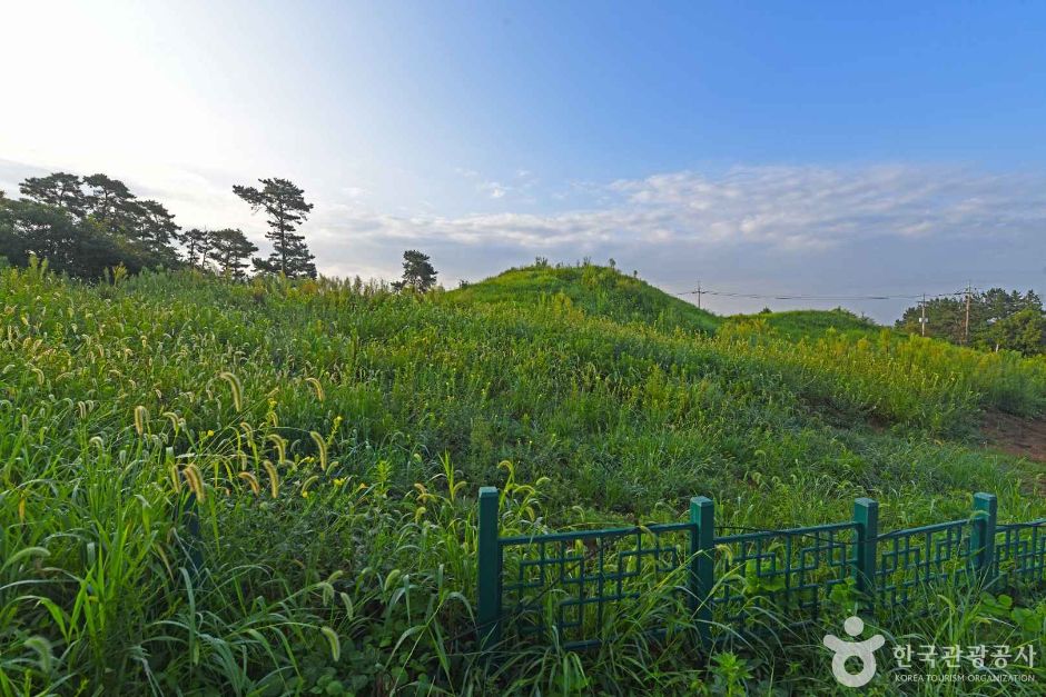 咸平 竹岩里古坟